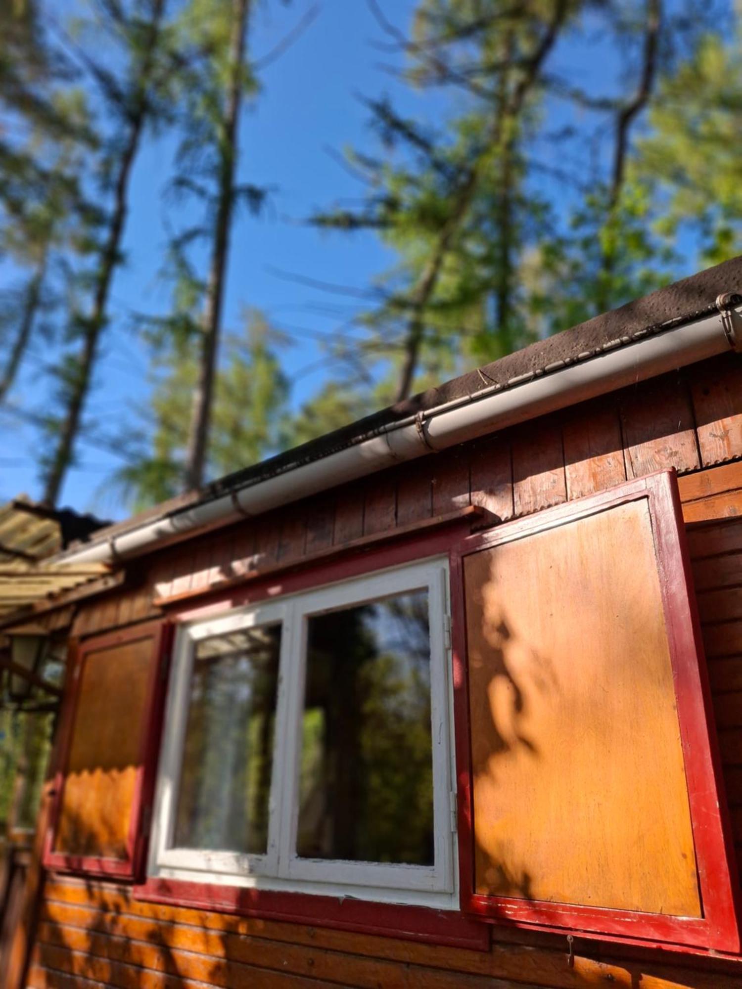 Waldidylle - Bungalows An Der Talsperre Kriebstein Kültér fotó
