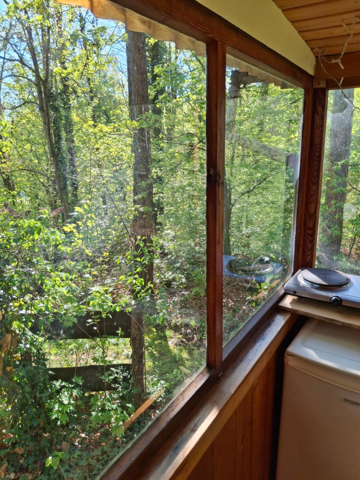 Waldidylle - Bungalows An Der Talsperre Kriebstein Kültér fotó